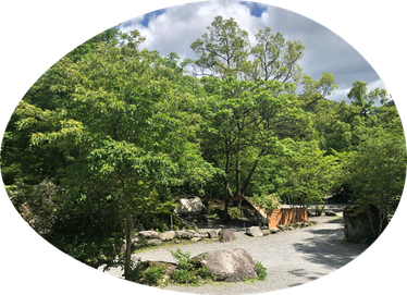 Kobitto　新緑の画像