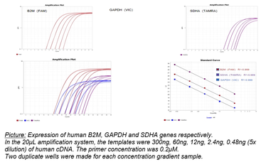 Bio-Star Universal-Flex qPCR Mastermix