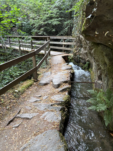 schenna-waalweg.jpg