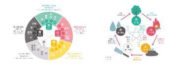 ※イメージ図（東洋医学・五行講座）