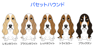 バセットハウンド Silverfrog ページ バセットハウンド Silverfrog ページ
