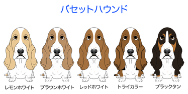 画像クリックで犬のイラスト紹介②-ハ行〜へ移動