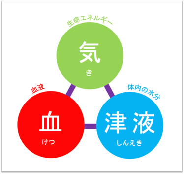 松戸市　新松戸　ポプラはりきゅう整骨院　松戸　南流山　流山市　柏市　交通事故　腰痛　美容鍼　小顔矯正　耳つぼダイエット　不妊治療