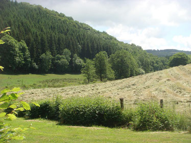 The Sollerbach Valley Gorge - view from the Sonlez Mill in direction Berlé