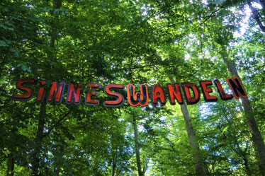 Walderlebnispfad Sinneswandeln im Gramschatzer Wald