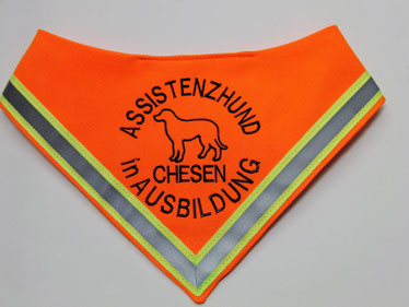 Assistenzhund, Halstuch, in Ausbildung, neonorange