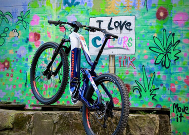 Haibike FLYON