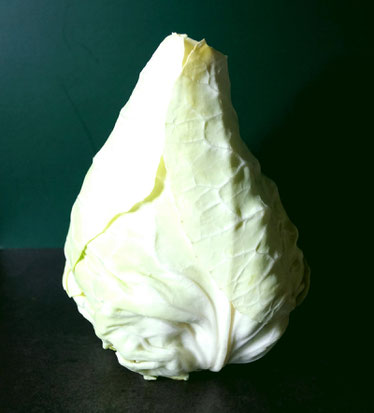 Filderkraut