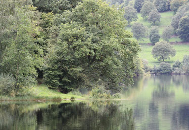 Eifel Nationalpark MPU Vorbereitung Kurzurlaub