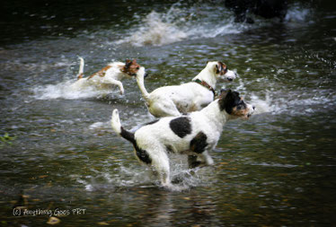 Ain't She Sweet, die Fritzi, mit ihren Outlaw-Kumpels beim "Baden"