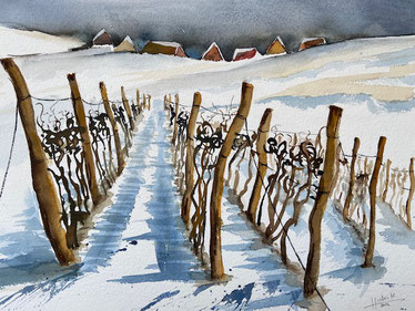 Aquarell Winterlandschaft Weinstöcke im Winter