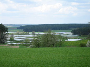 Weiherlandschaft bei Rohensaas