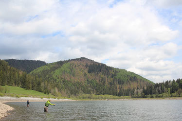 Flycasting streamers with flyrod for brown trout perch lake flyfishing