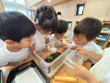 おおきく みえる!