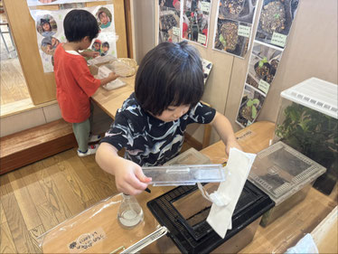 ゼリーがない！