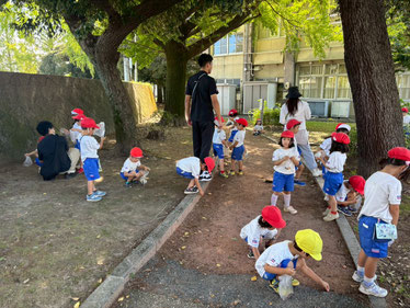 どんぐり みつけた!