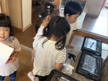 ごはんが なくなってる!