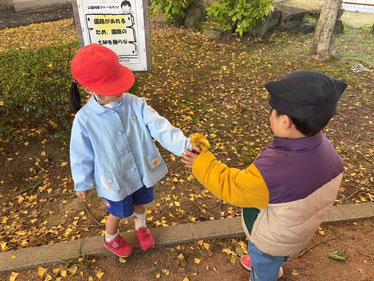 きれいだね〜