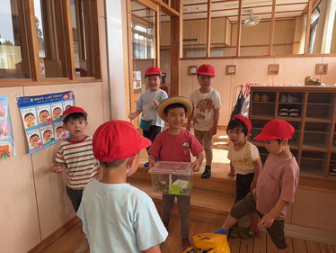 蝶々になってる！