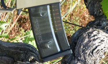chargeur-billes-biodegradables-phosphorescentes-acaht-boutique-en-ligne-furets-enrages