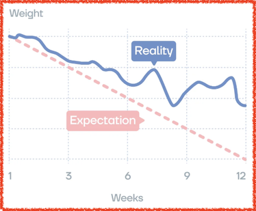 How to handle a Weight loss plateau