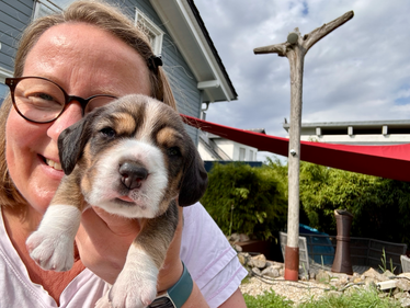 The Cuddly Tracker Gunda (aka Frieda) mit 2,5 Wochen