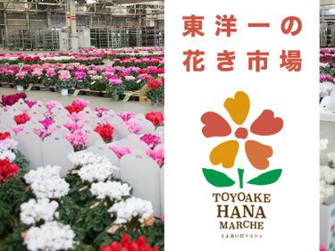 東洋一の花き市場 TOYOAKE HANA MARCHE