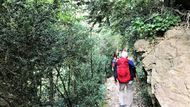 Rando plaisir le 14décembre 2017 à Fenopuillet dans lmes boucles du Fenouillet et les gorges de St Jaume