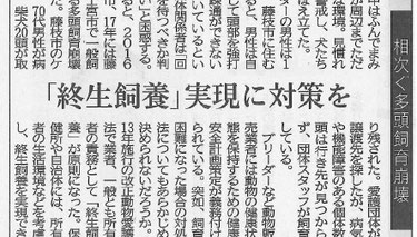 静岡新聞　中部版　７月２５日
