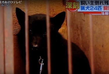 ８月２７日静岡あさひテレビ「とびっきり！しずおか」