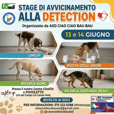13 e 14 Giugno 2026 | Stage di Avvicinamento alla Detection