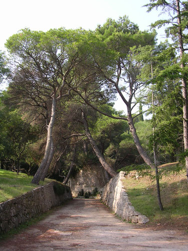 Kroatien, Nationalpark Insel Brioni