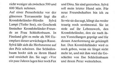 Kromfohrländerzucht Kromfohrländertreffen Pro Kromfohrländer Kromfohrländer Einkreuzprojekt Danski