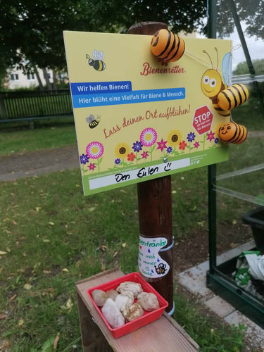 Pflanzschild