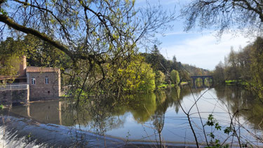 2025 (avril) - Sèvre nantaise