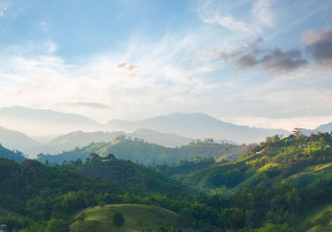 Berglandschaft der kolumbianischen Kaffeeregion 