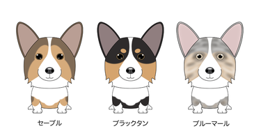 画像クリックで犬のイラスト紹介①-ア行〜へ移動