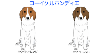 画像クリックで犬のイラスト紹介①-ア行〜へ移動