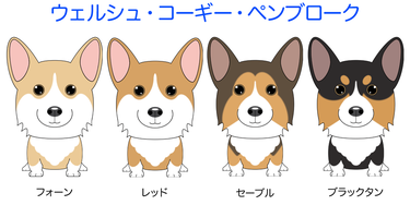 画像クリックで犬のイラスト紹介①-ア行〜へ移動