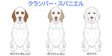 画像クリックで犬のイラスト紹介①-ア行〜へ移動