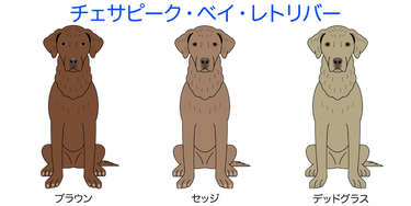 画像クリックで犬のイラスト紹介①-ア行〜へ移動