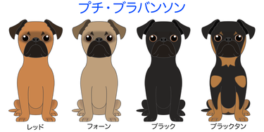 画像クリックで犬のイラスト紹介②-ハ行〜へ移動