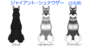 ジャイアントシュナウザー Silverfrog ページ