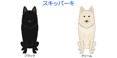 画像クリックで犬のイラスト紹介①-ア行〜へ移動