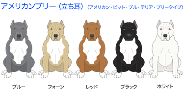 画像クリックで犬のイラスト紹介①-ア行〜へ移動