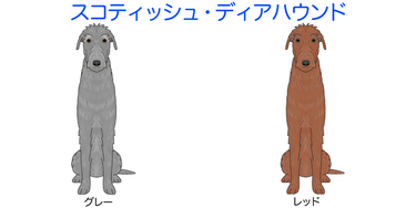 画像クリックで犬のイラスト紹介①-ア行〜へ移動