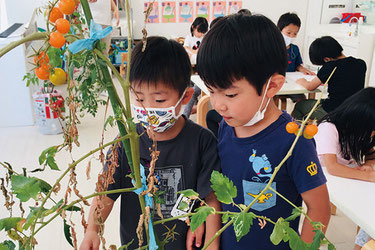 【東京都　N園　2.3.4.5歳児クラス】