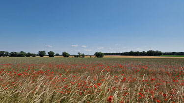 Wunderschöne unendlich weite Landschaften.