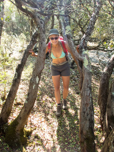 Unsere Wanderung zur Cala Goloritze auf Sardinien - die schönste Bucht von oben und unten erleben.