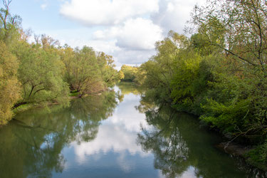 Traumhafter Blick auf den Altrhein (Foto: B. Budig)